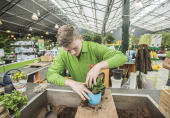 Assistent plant, dier of groene omgeving