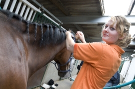Instructeur paardensport en -houderij
